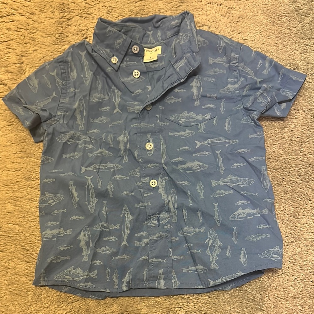 Crewcuts size 2 shark button down